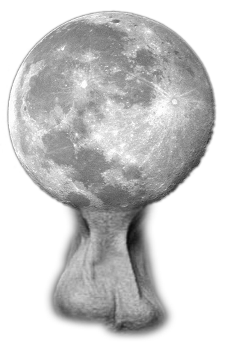 Saco na Lua